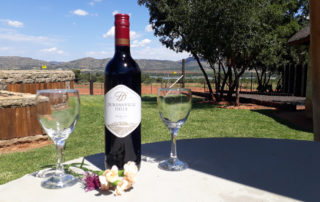 Harties Sunday Lunch Buffet, Cruise the Dam, Sunday Lunch Boat Cruise, Shingalani Bush Camp Braai